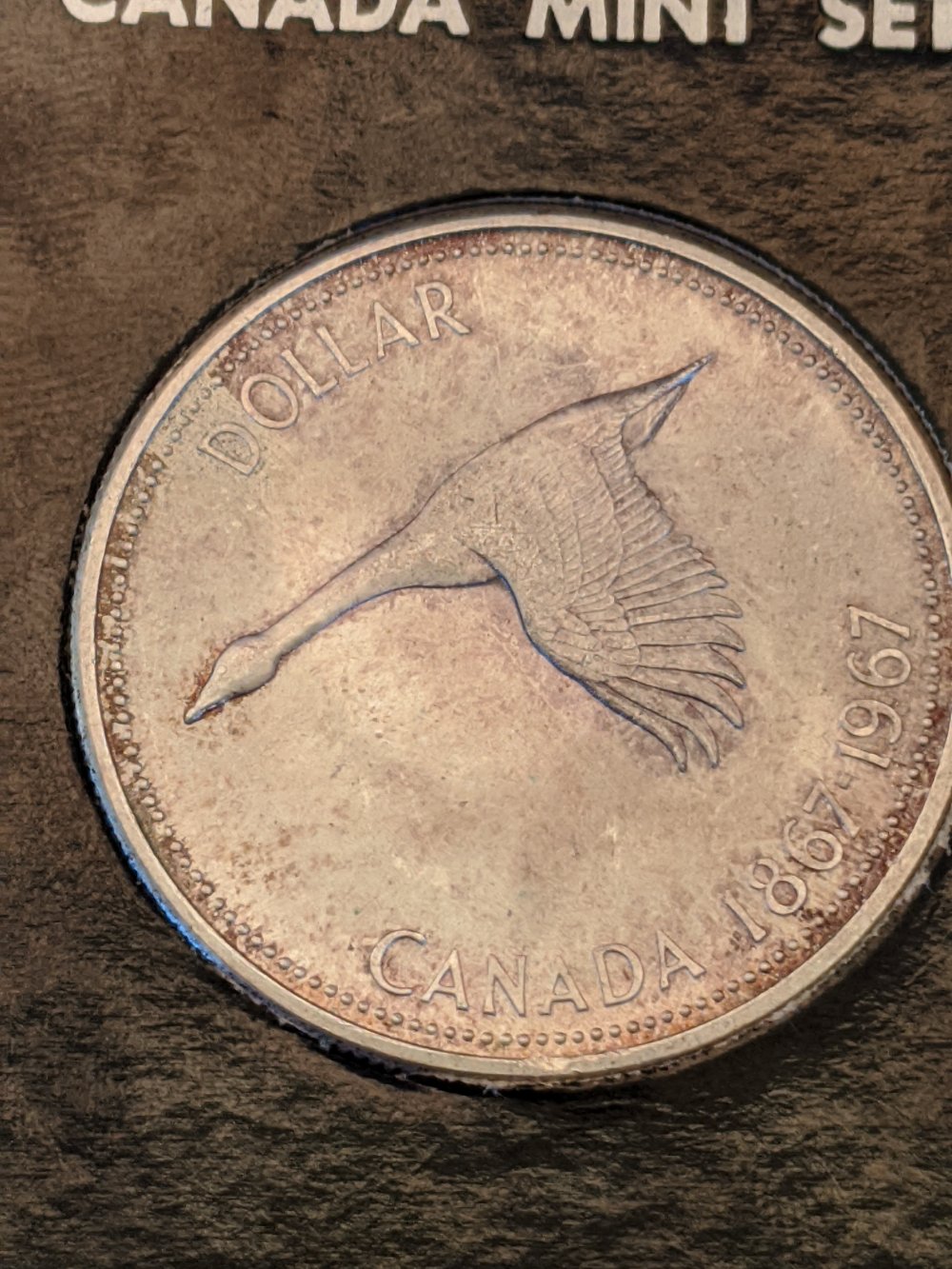 1967-Canadian-Dollar-DDO?