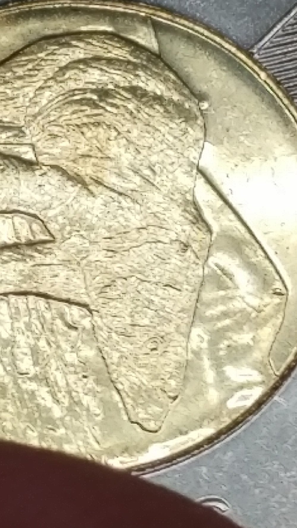 2021-Toonie,-Die-Chip?-Tiny-Clash?-Tiny-Plating-Bubble?