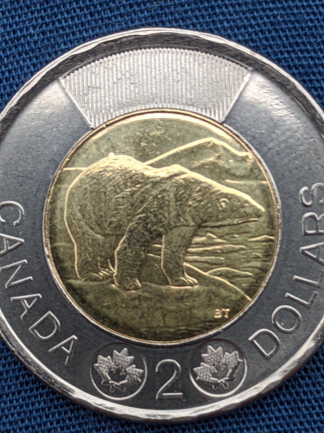 2021-Toonie,-Die-Chip?-Tiny-Clash?-Tiny-Plating-Bubble?