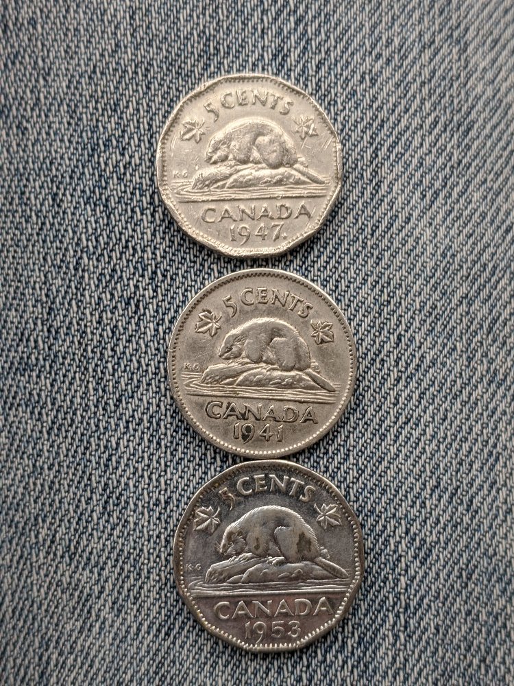 Canadian-Roll-Hunting