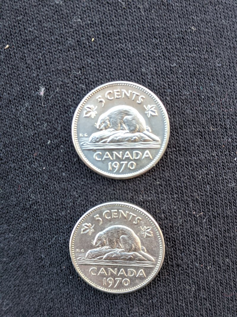 Canadian-Roll-Hunting