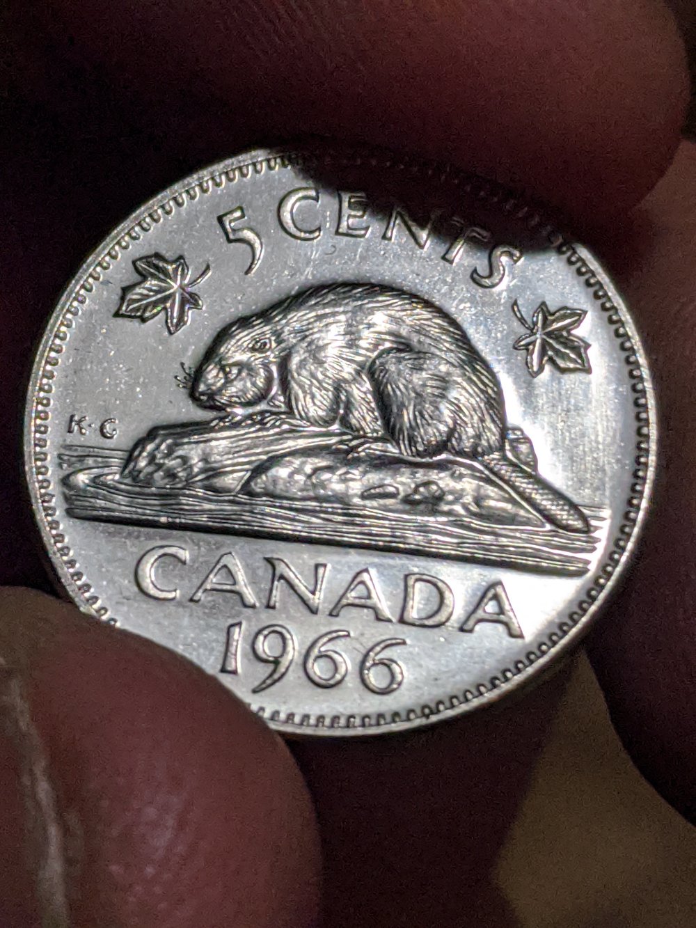Canadian-Roll-Hunting