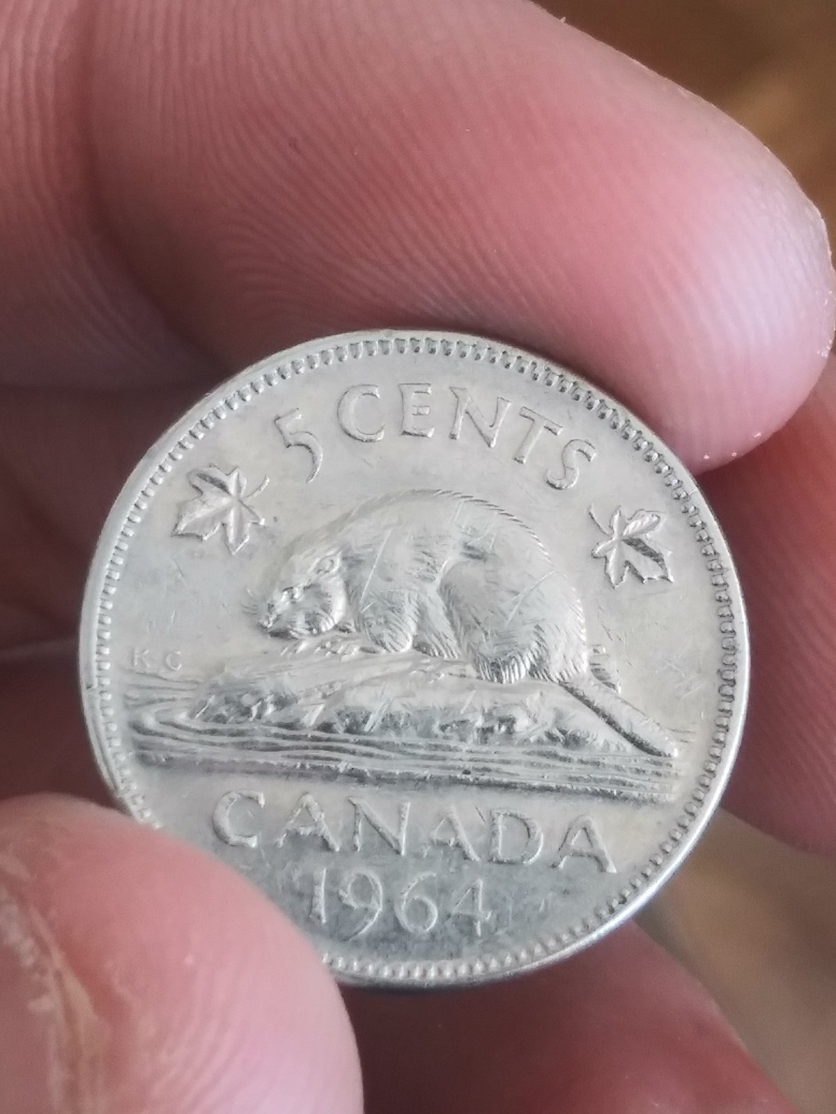 Canadian-Roll-Hunting