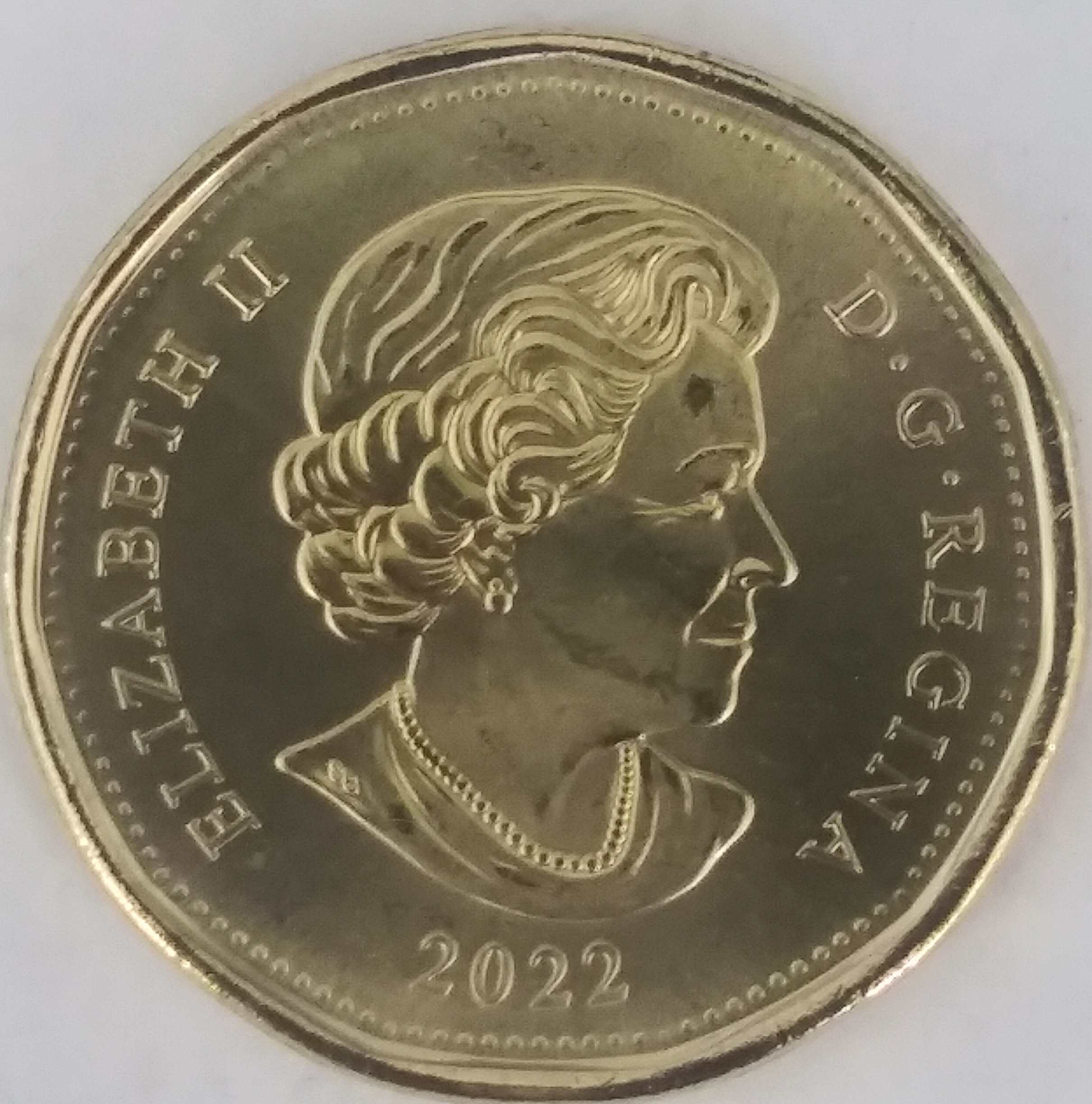 First-2022-Circulation-Coin-Find