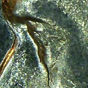 1960-D-Jefferson-Nickel-LDS/Md/RPM/