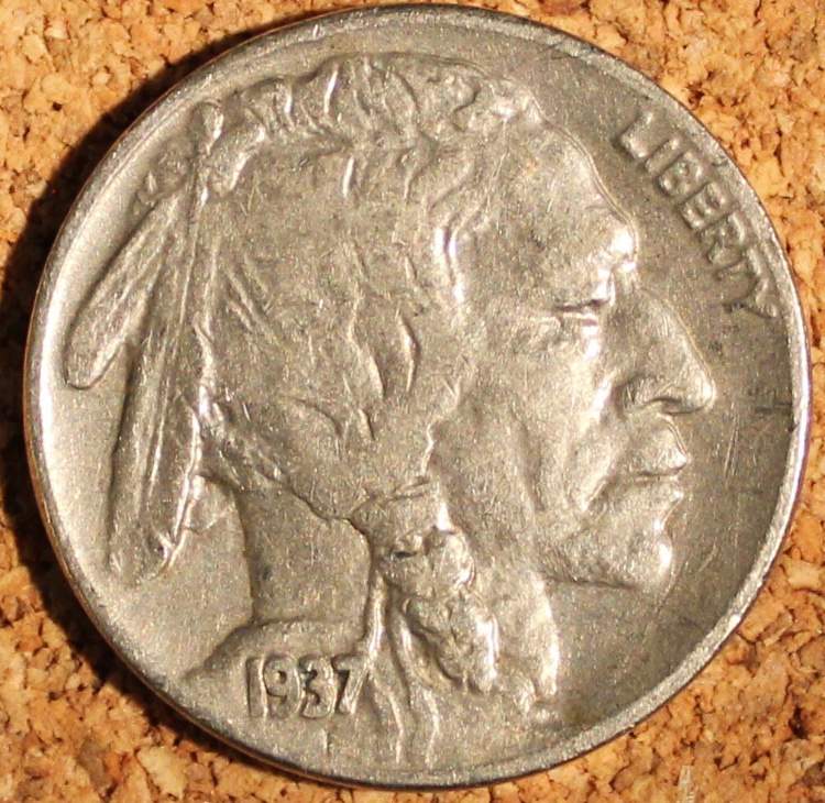 1937-D-Buffalo-Nickel-For-Grading