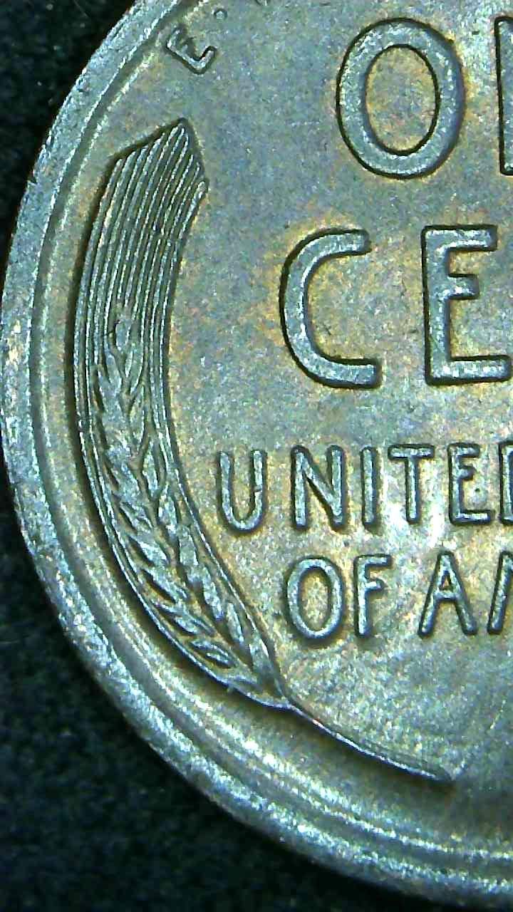 1915-Lincoln-Wheat-Ear-Cent-Submitted-For-Grading