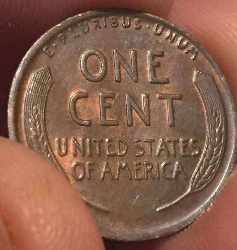 1915-Lincoln-Wheat-Ear-Cent-Submitted-For-Grading