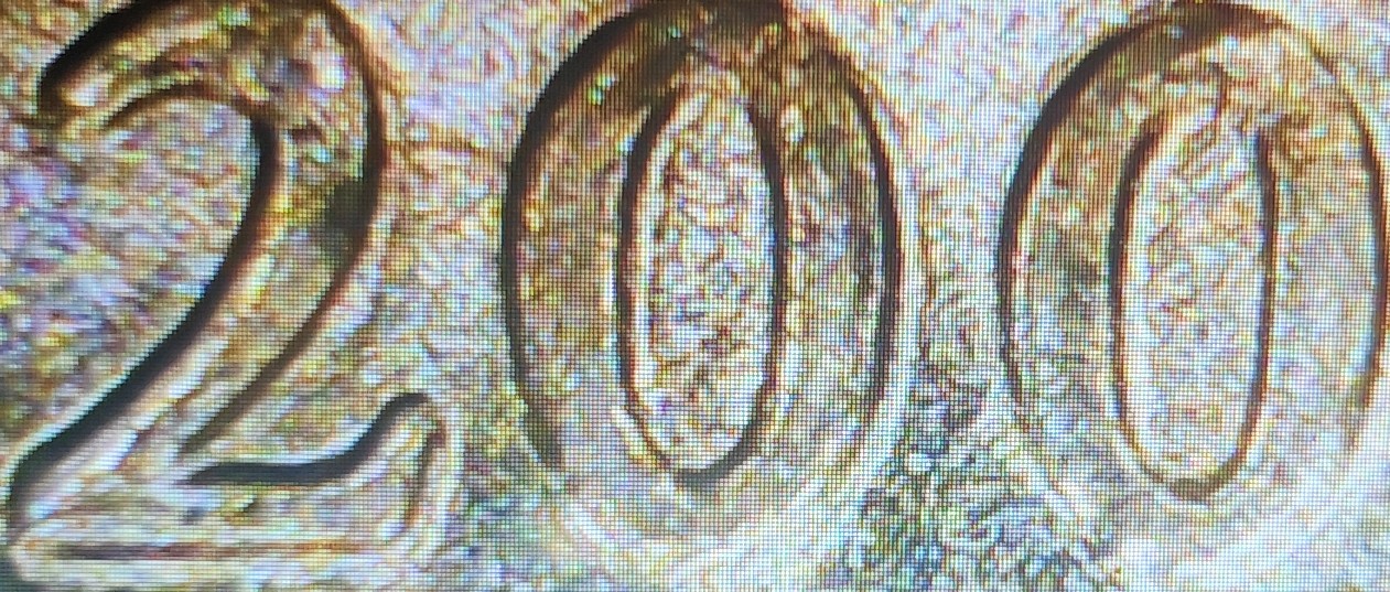 Bought-A-Roll-From-Bank,-Treasury-Dept-Roll-So,-Uncirculated?