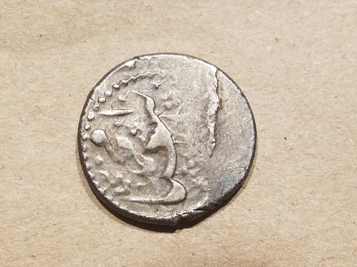 Middle-Eastern-Or-Indian-Coin?
