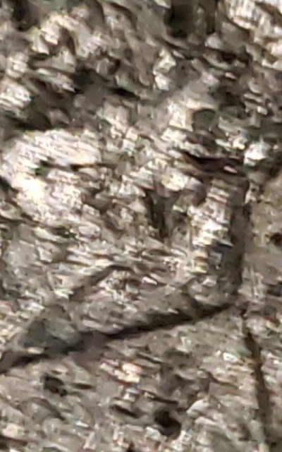 HI-I'm-Back!-I-Found-Quite-A-Few-Interesting-Coins.-I'll-Post-One-At-A-Time