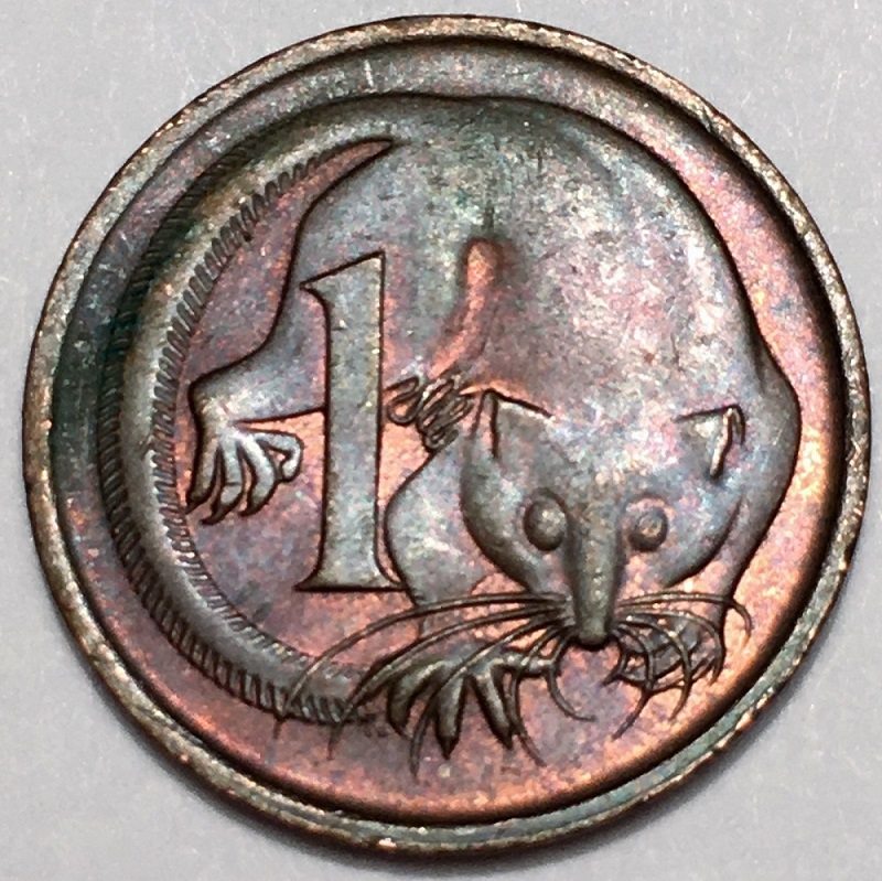 Post-Your-Coins-Representing-The-Animal-Kingdom.
