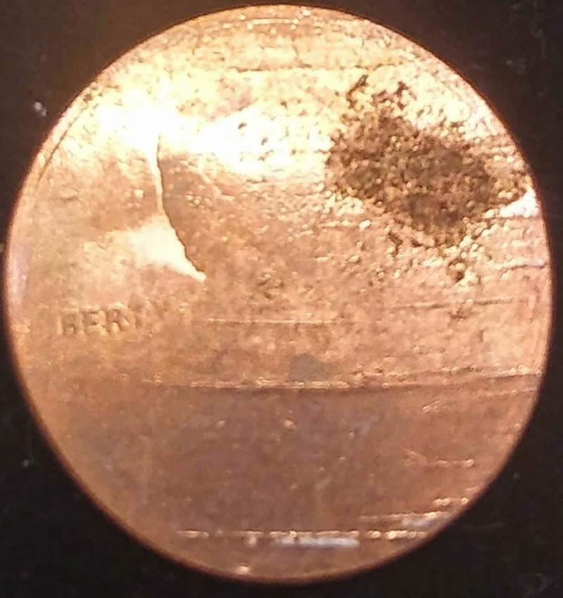 Blank-Lincoln-Shield-Cent,-Found-In-A-Roll-Today