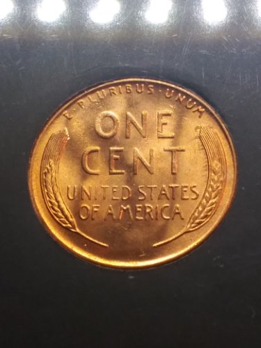 1955-S-Cent,-Raised-Lines-On-Reverse-Near-The-Wheat