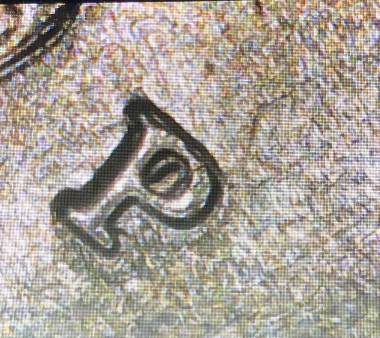 Has-There-Been-A-2021-P-RPM-Verified?-Is-This-One?