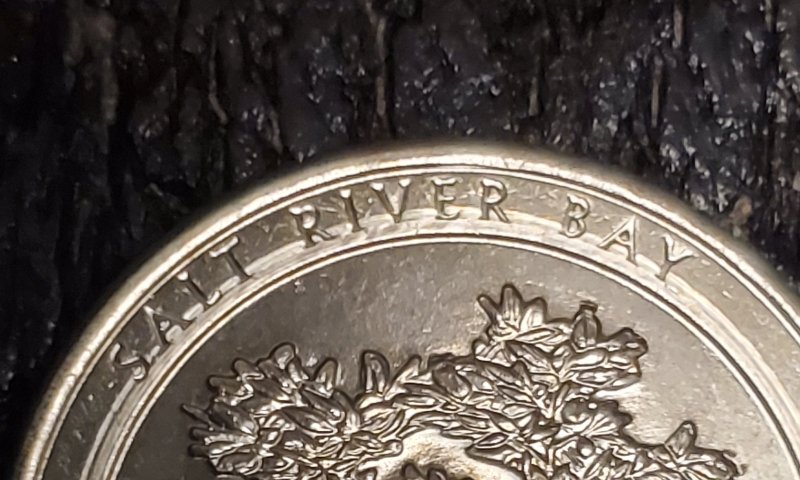 2020-Salt-River-Bay-Quarter-Damage?