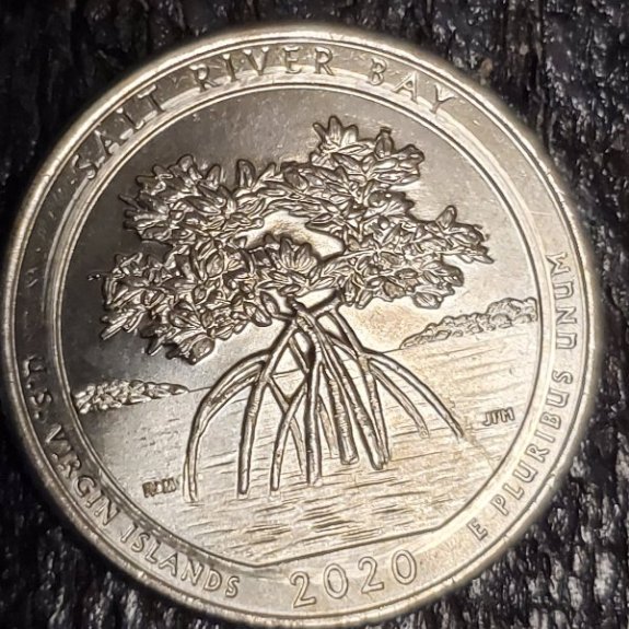 2020-Salt-River-Bay-Quarter-Damage?