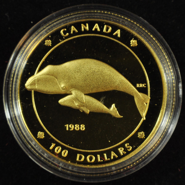 Post-Your-Coins-Representing-The-Animal-Kingdom.