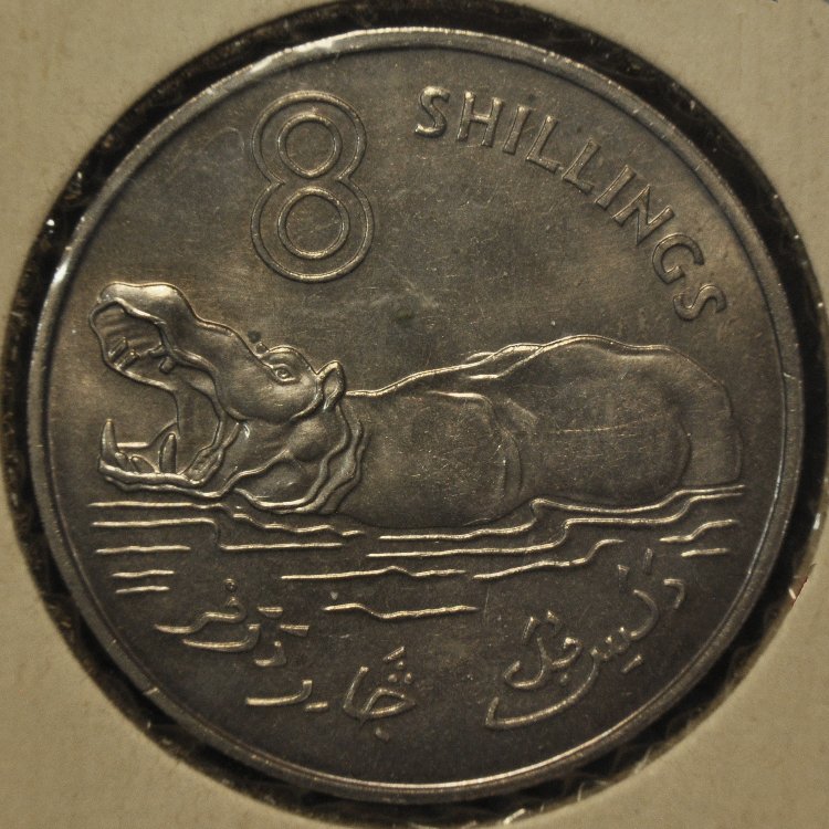 Post-Your-Coins-Representing-The-Animal-Kingdom.