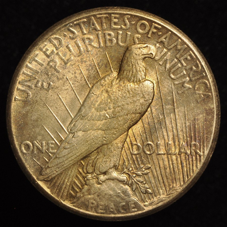 1928-P-Peace-Dollar-Grading-Opinions