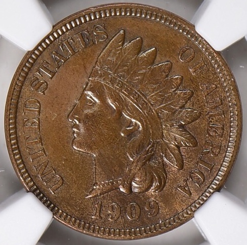 1877-Indian-Head-Penny---Any-Input?