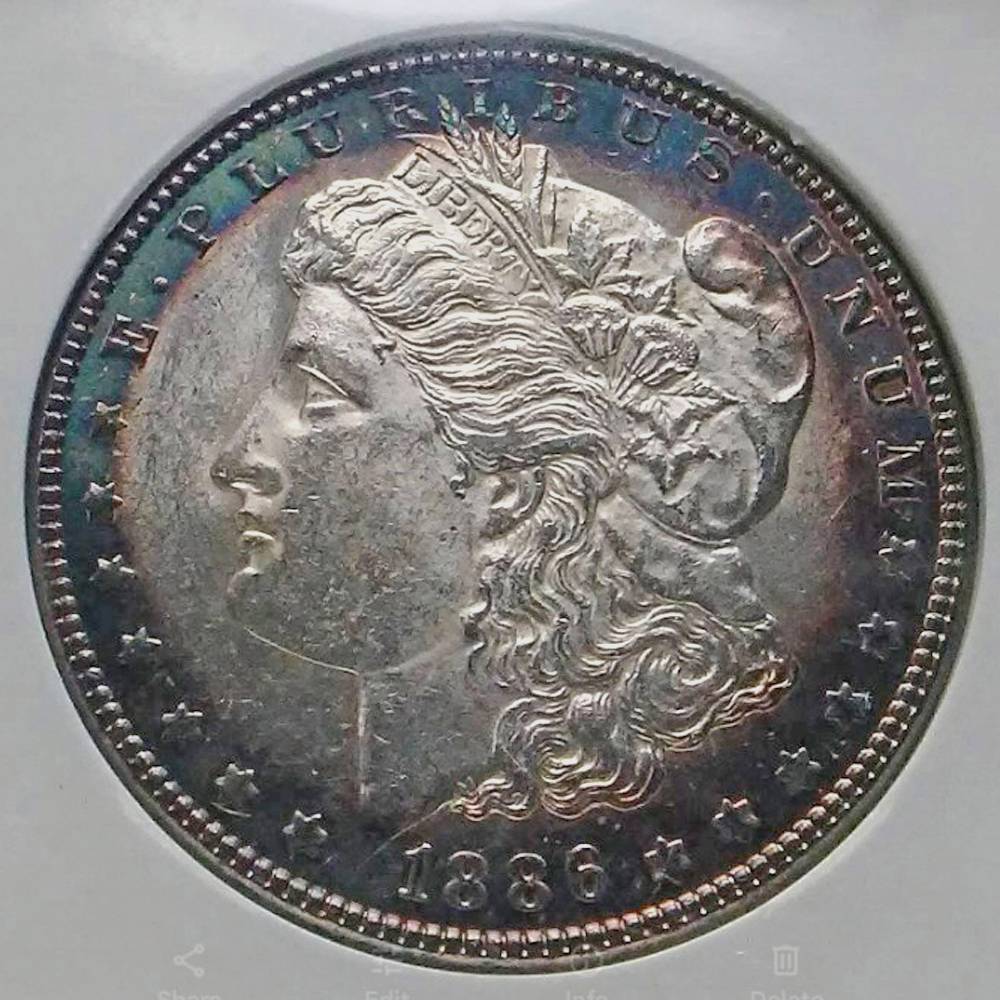 For-Grading---1886-Morgan-Dollar