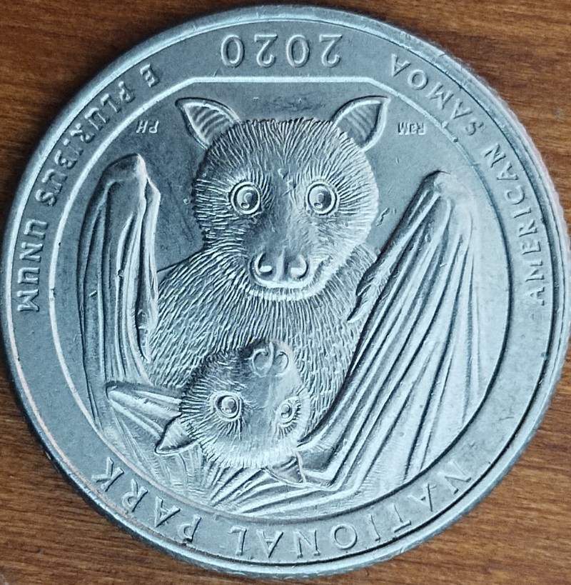 2020-Quarter-American-Samoa-Error
