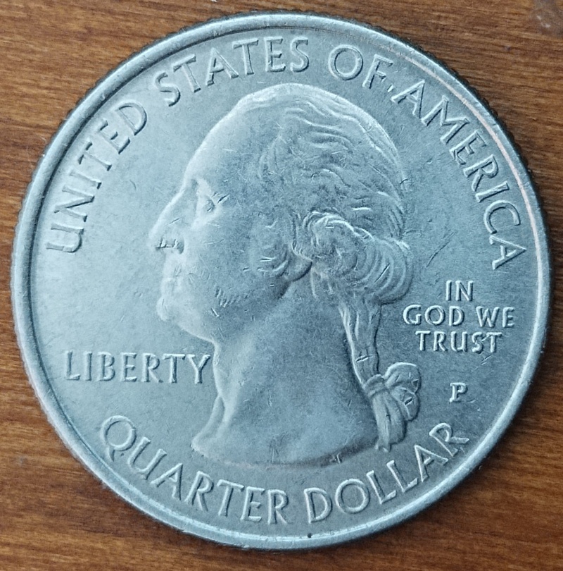 2020-Quarter-American-Samoa-Error