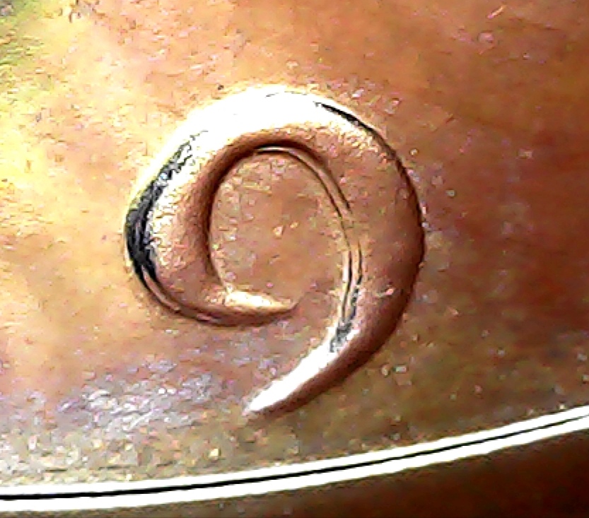 DDO-On-Proof-1971-S-Kennedy-Half-Dollar