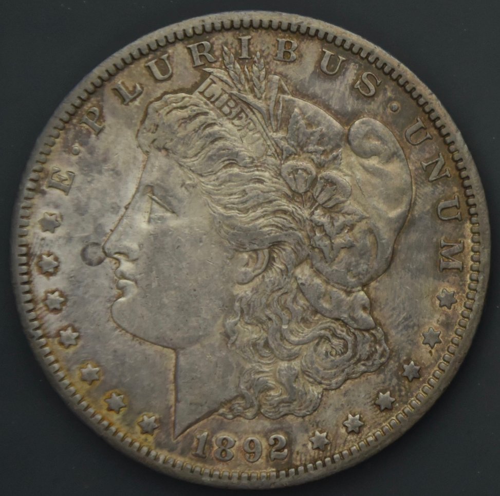 What-Grade-Will-You-Give-To-This-1892-CC-Morgan-Silver-Dollar?