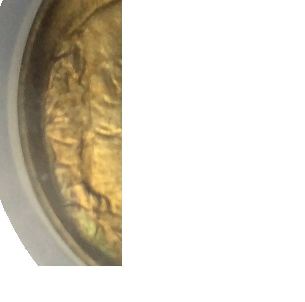 Need-Help---1913-Type-1-Buffalo---Proof-Or-MS?