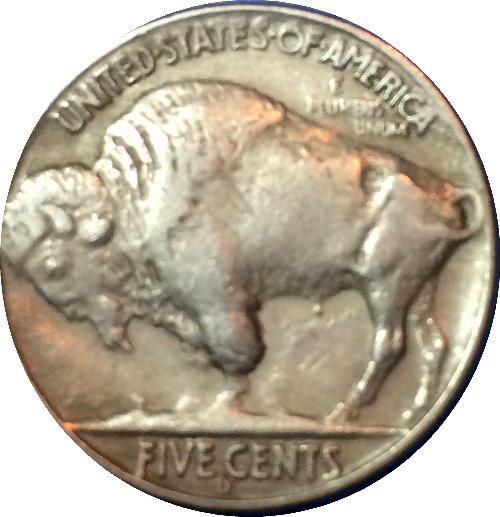 Ran-Into-A-Herd-Running-In-A-Circle.............