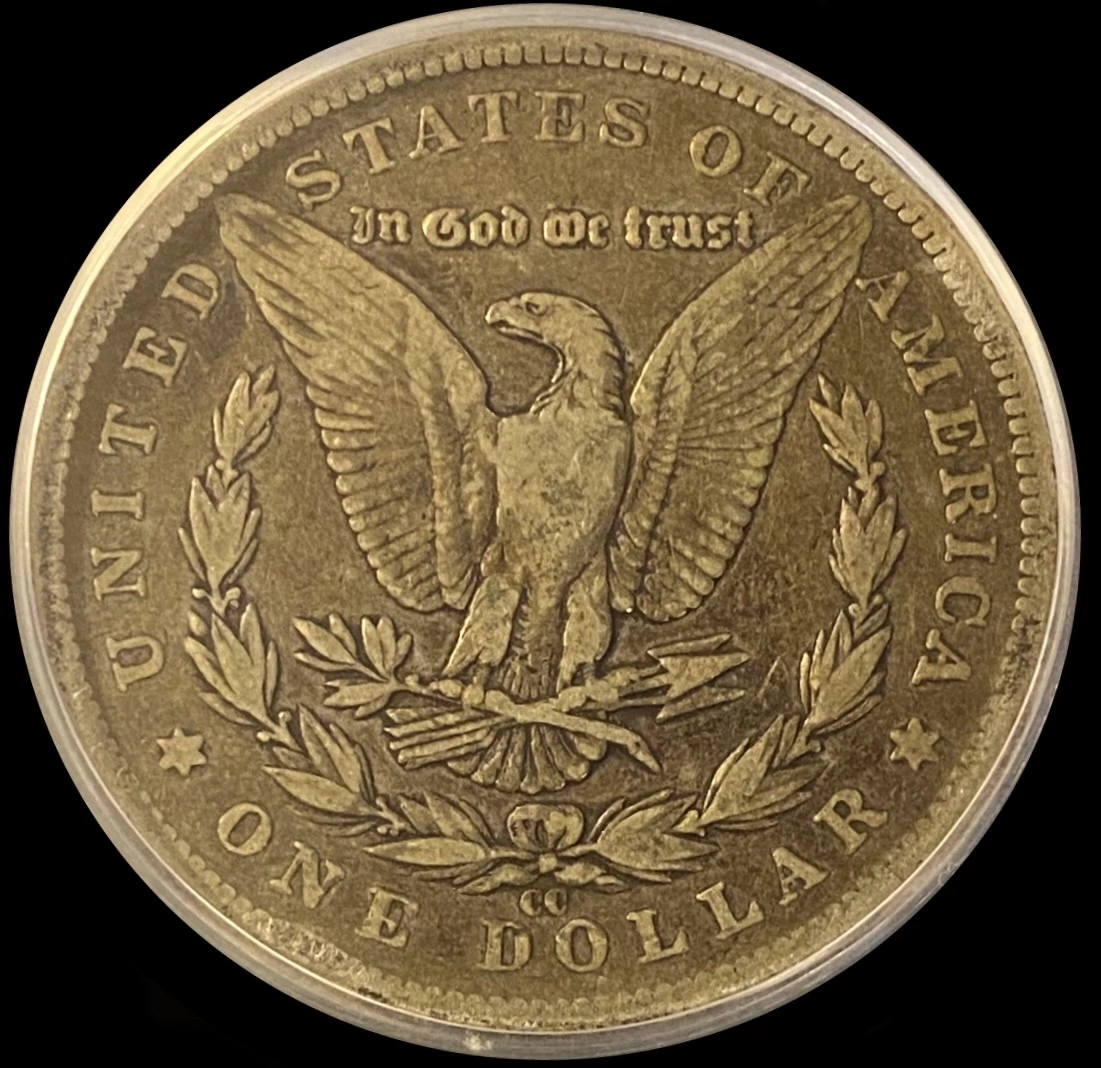 1889-CC-Morgan-Dollar-For-Your-Thoughts---You-Vs-TPG