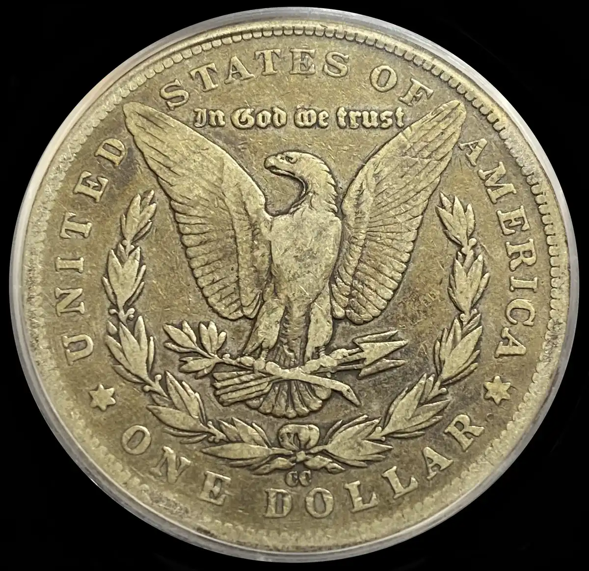 1889-CC-Morgan-Dollar-For-Your-Thoughts---You-Vs-TPG