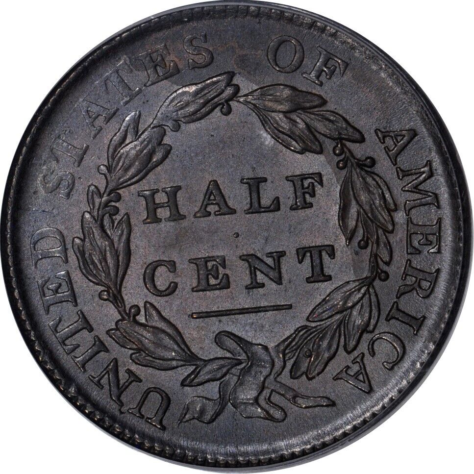 Another-1809-Half-Cent-PCGS-Vs-You-Do-You-Think-It's-A-High-Quality-Type-Coin?