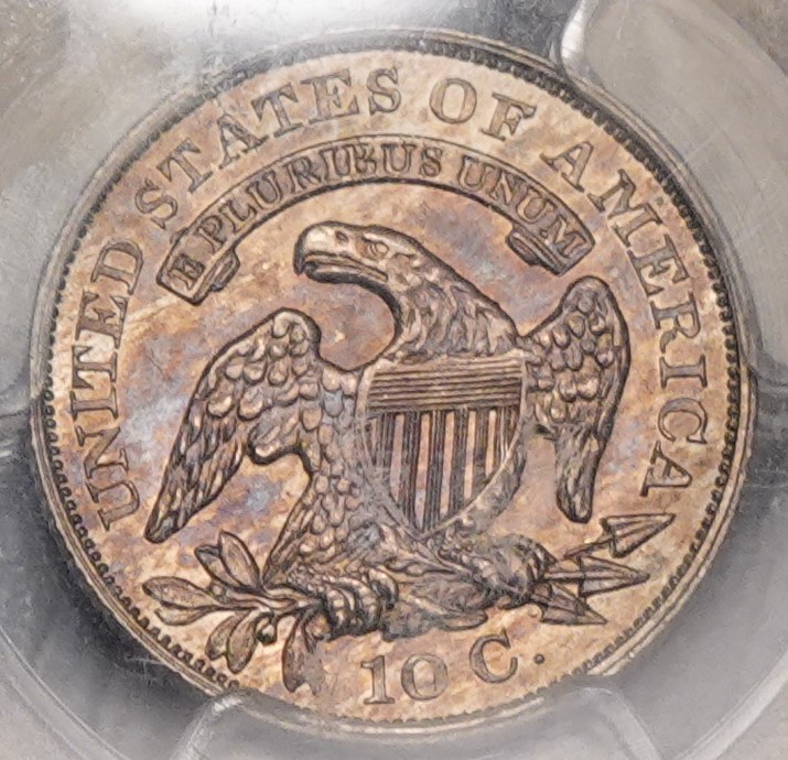 1829-Capped-Bust-Dime-PCGS-Vs-You