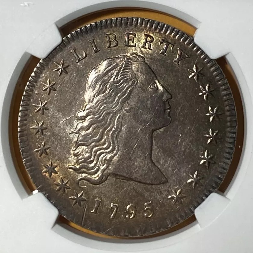 1795-Flowing-Hair-Silver-Dollar-Not-My-Coin--Ngc-Vs-You
