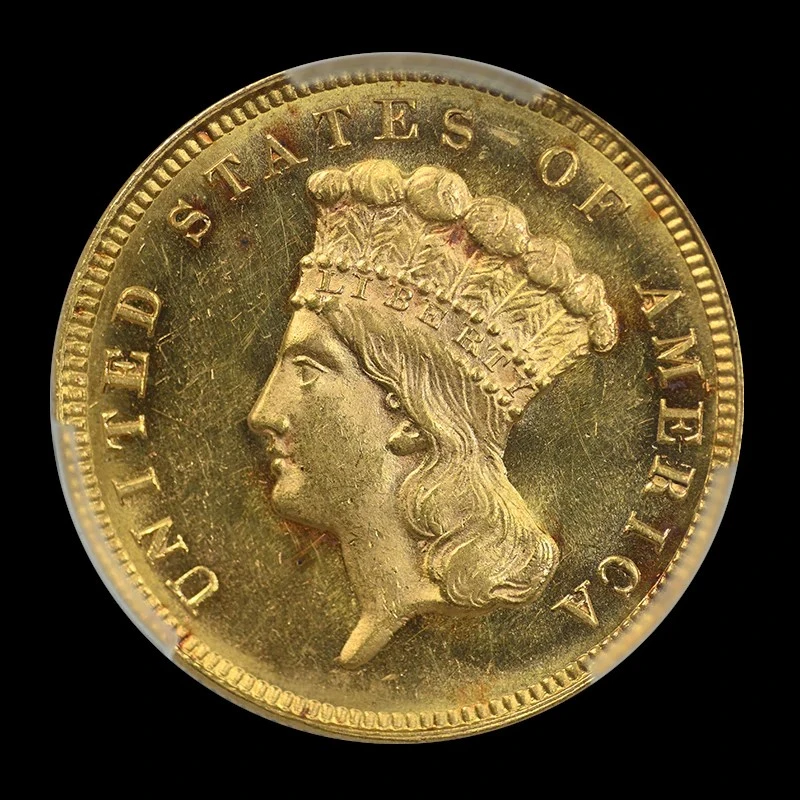 1879-$3-Indian-Princess-PCGS-Vs-You
