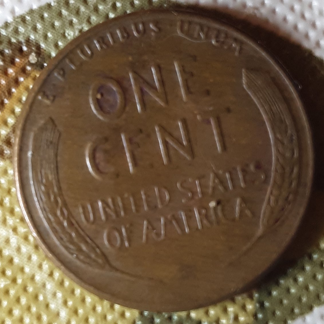 1955-Wheat-Penny-Woody