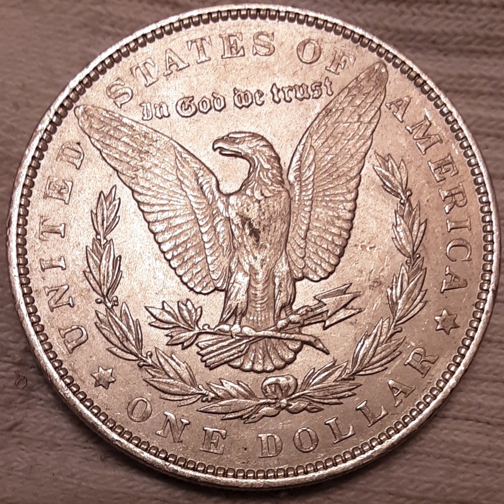 1892-Morgan-Dollar-What-Do-You-Guys-Think?