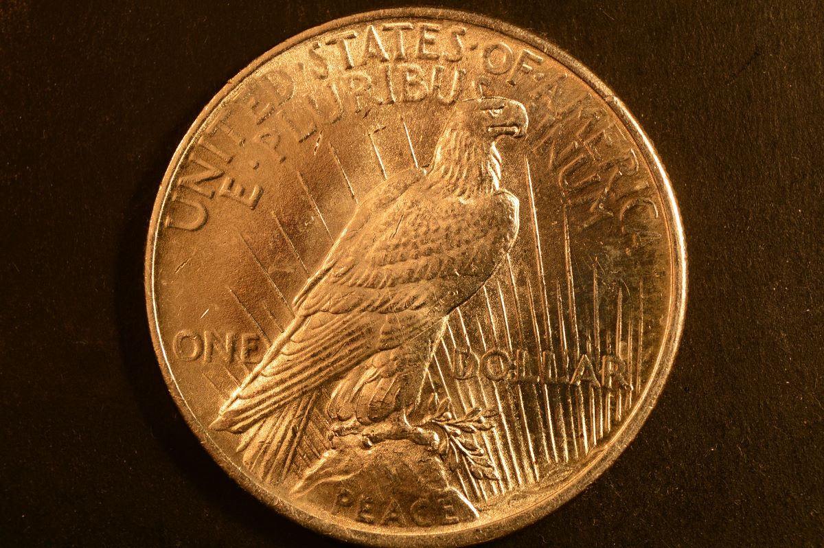 1924-Peace-Dollar-Grade-Opinons