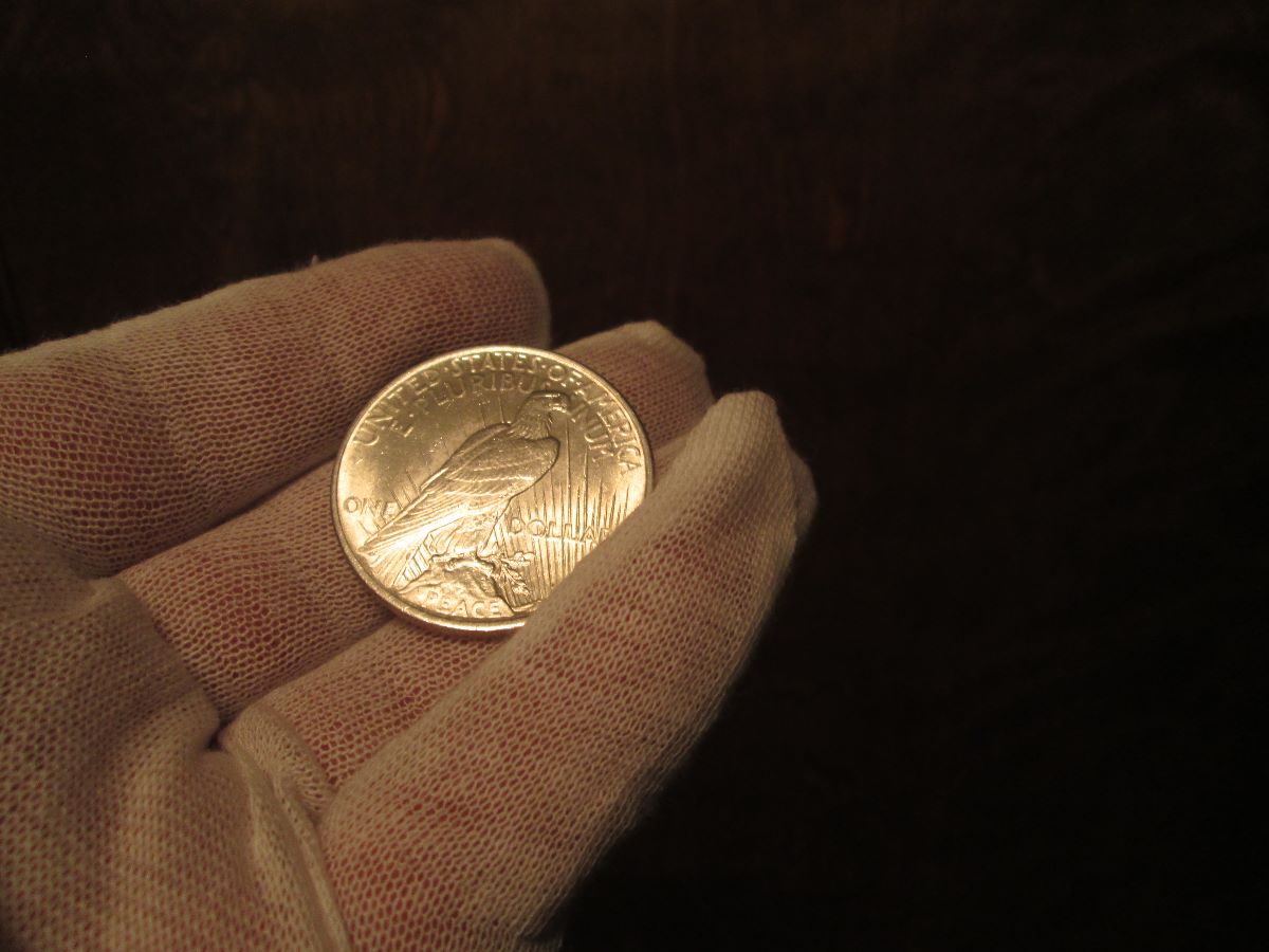 1924-Peace-Dollar-Grade-Opinons