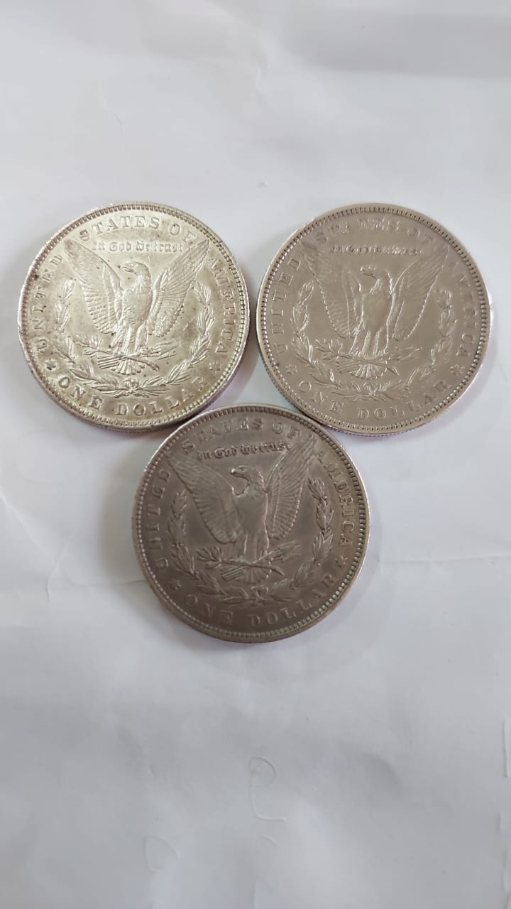 Three-Morgan-Dollars