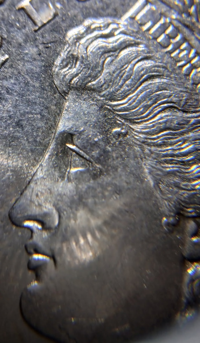 1881-S-Morgan-Dollar:-Heavy-Die-Chips-On-Date-&-Stars-/-Light-Doubling-To-Some-Stars/Letters