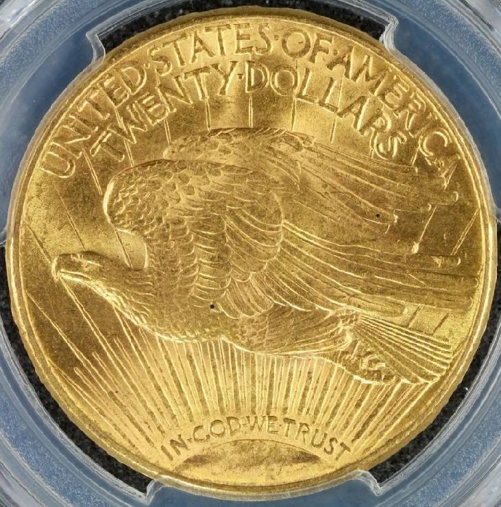 You-Vs-PCGS-20-Dollar-1909-S-St.-Gaudens