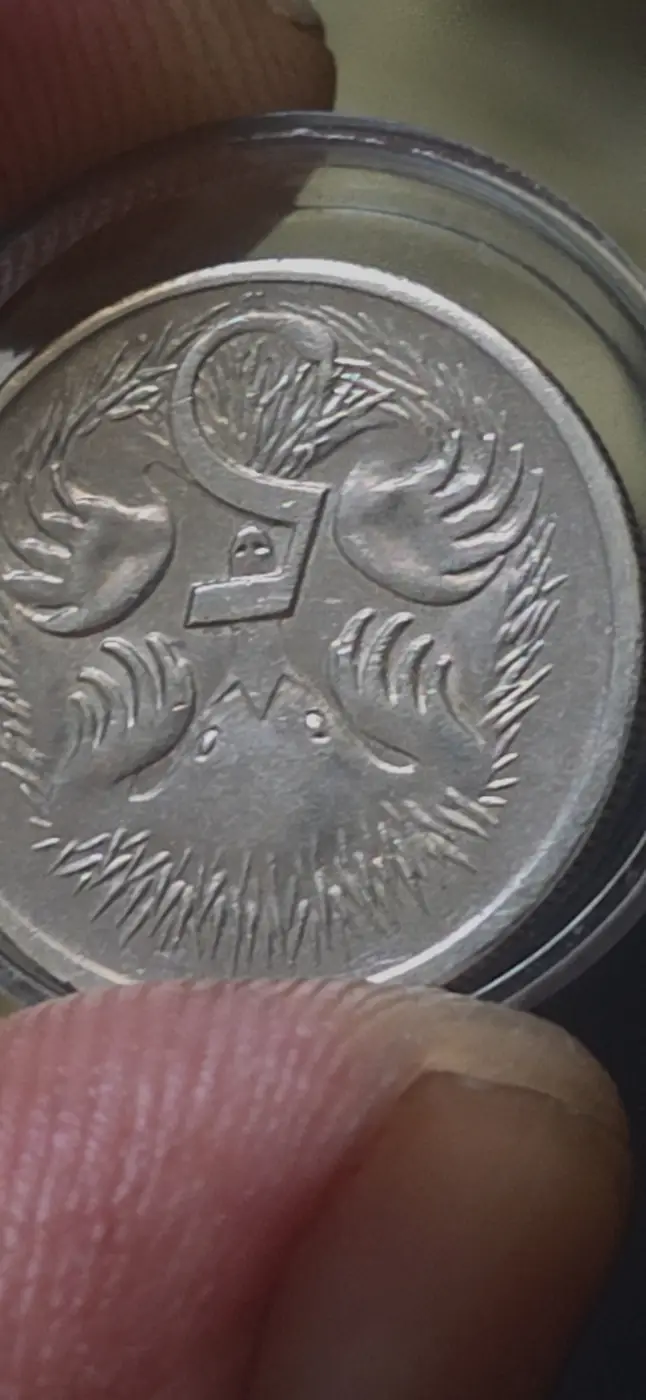2001-Australian-5-Cent-Flamingo-Coin