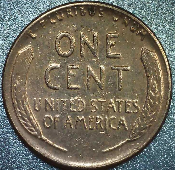 1955-P-LWC-With-Cud-On-Forehead