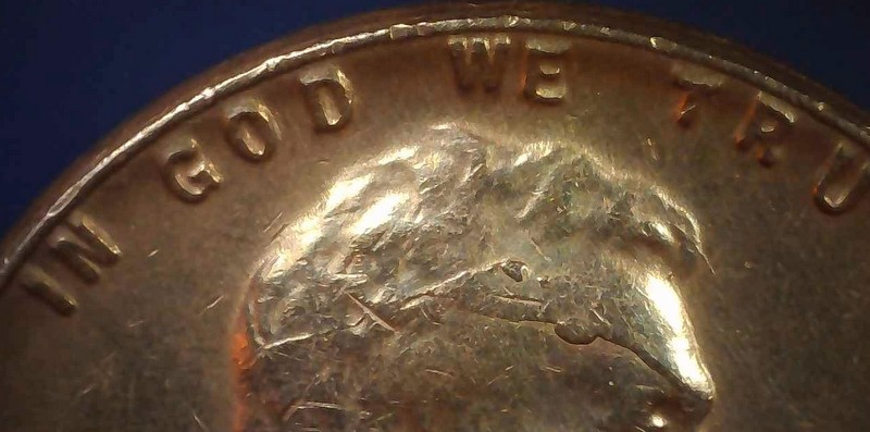 1955-P-LWC-With-Cud-On-Forehead