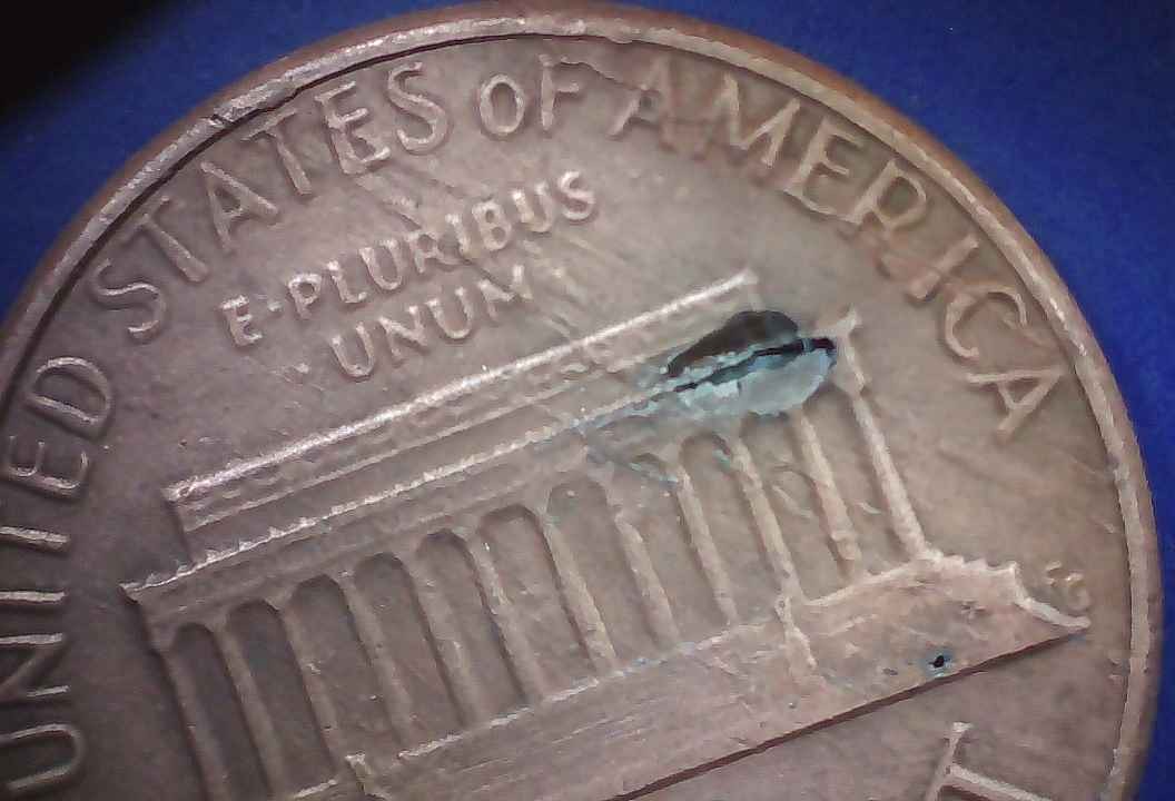 1993-P-LMC-W/-Feeder-Finger-&-Die-Crack-On-Reverse