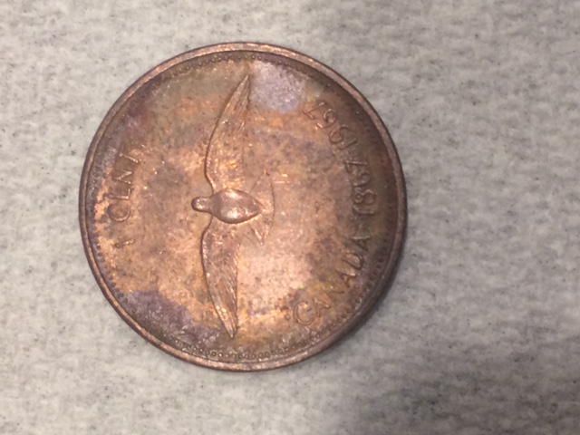 1967-Canadian-Bird-Cent